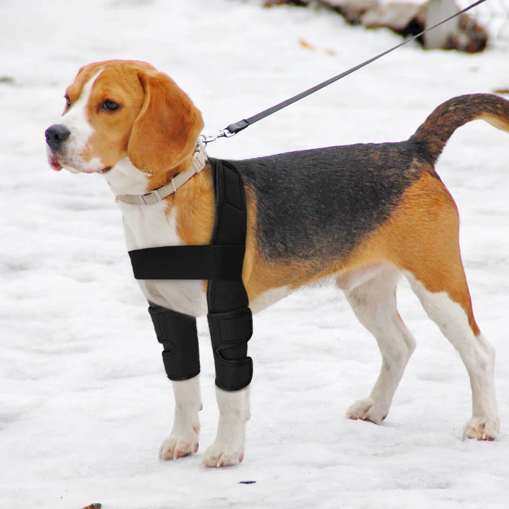 Title 9, Dog Knee Brace Injuries Leg Brace Surgical Join...