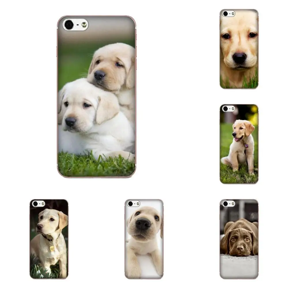 

Phone Case Labrador Puppies Dog For Huawei Honor 4C 5A 5C 5X 6 6C 6A 6X 7 7X 8 9 V8 V10 Y3II Y5II Y6II G8 P7 Play Lite