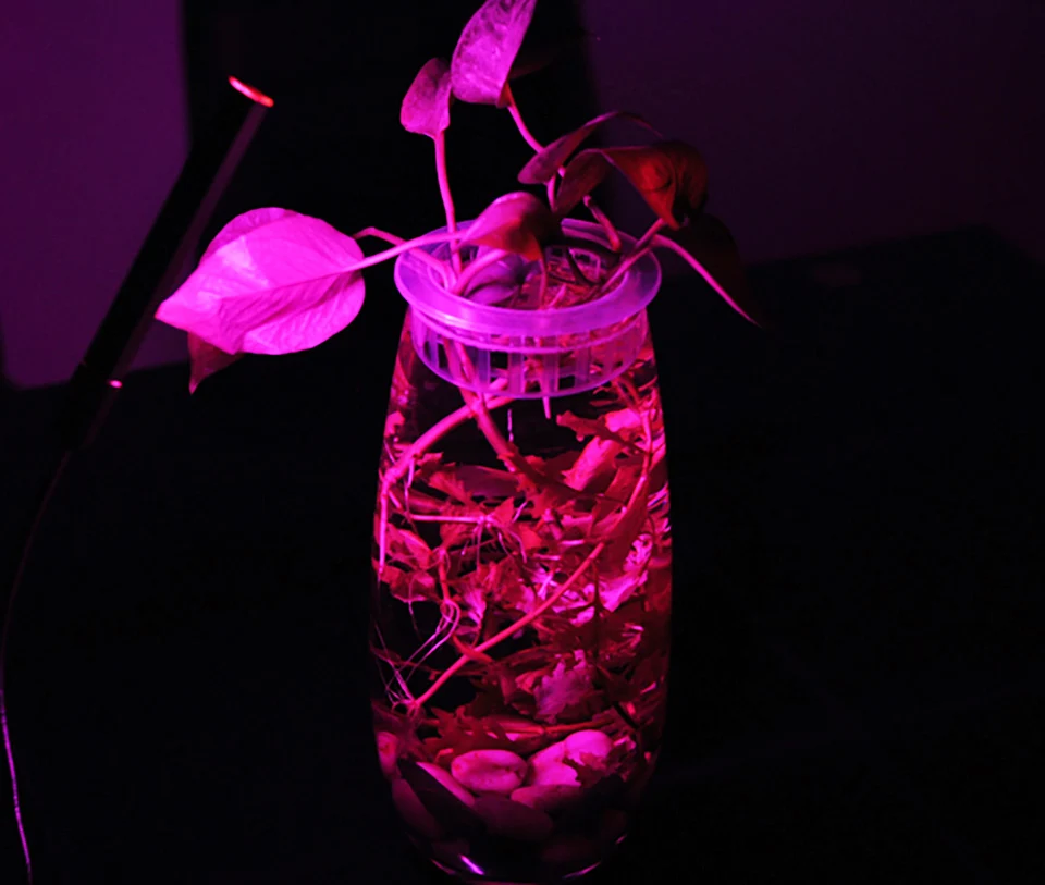 TIM图片20190626113656