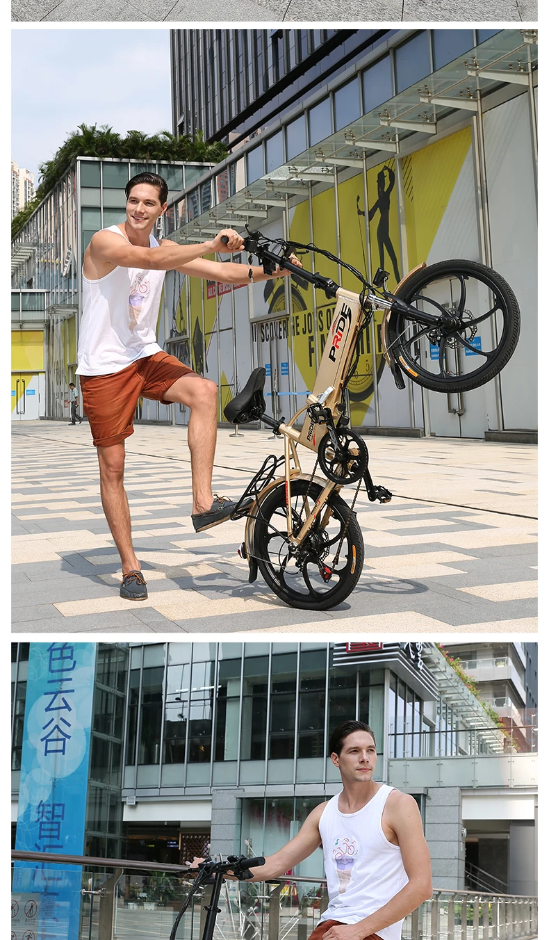 Top Electric bike 20inch Aluminum Folding bike 48V12.5A Battery electric Bicycle 350W Powerful Motor Mountain e bike Snow/city ebike 27