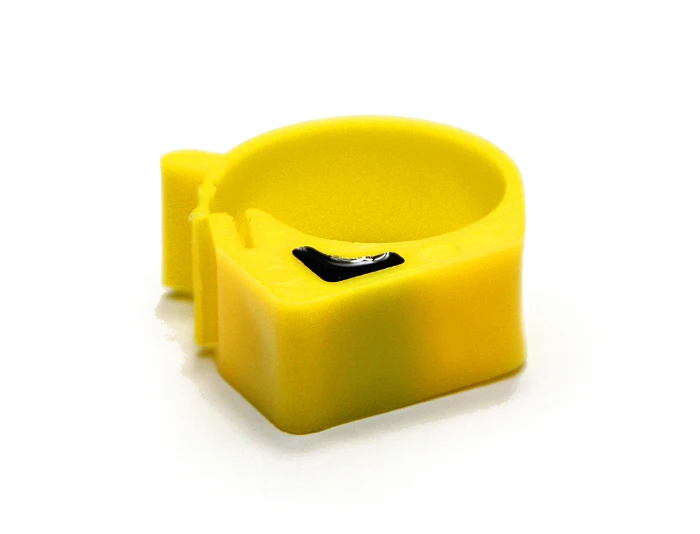 Big Birds Rings (1)