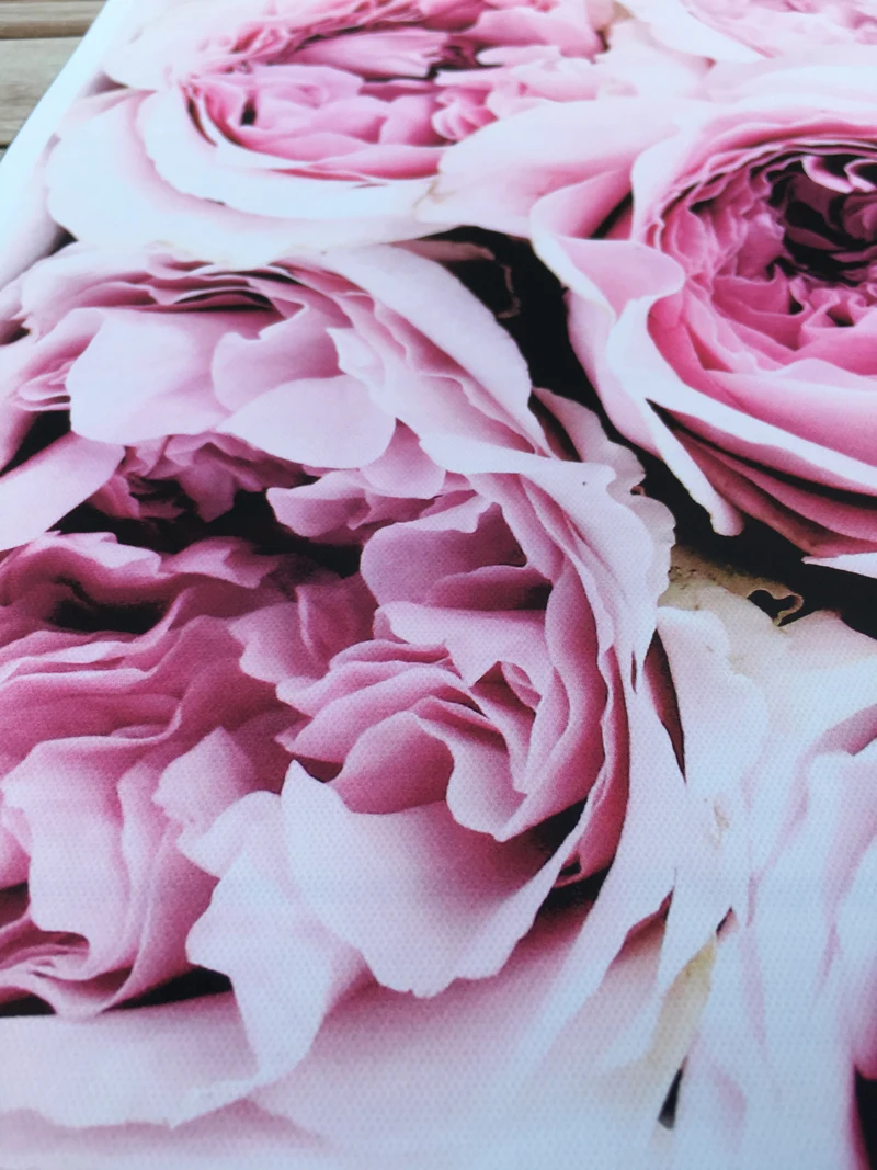 微信图片_20190402164549