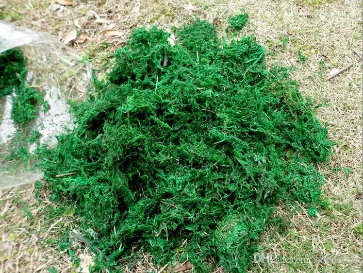 High quatity green moss Wedding Home DIY Decorative Garland Flowers Dried Floral flower arrangement decoration 200g