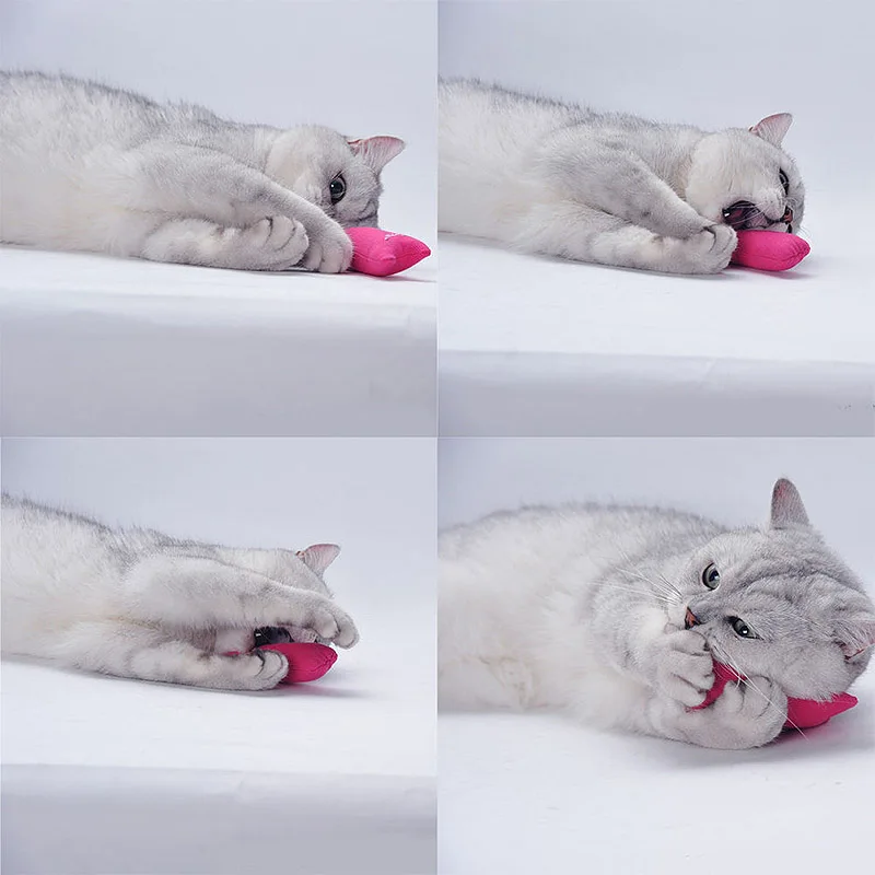 Cat Toys Funny Grinding Catnip Interactive Plush Cat Toy Pet Kitten Chewing Toy Claws Thumb Bite Cat Mint For Cats Teeth Toys