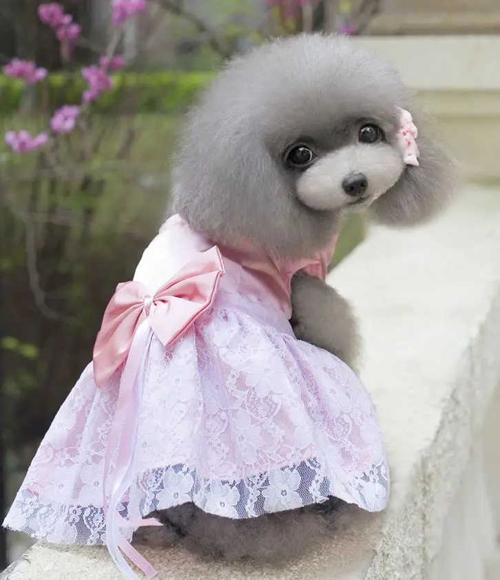 2016 new summer style pet dog cat lace ptincess dress doggy fashion