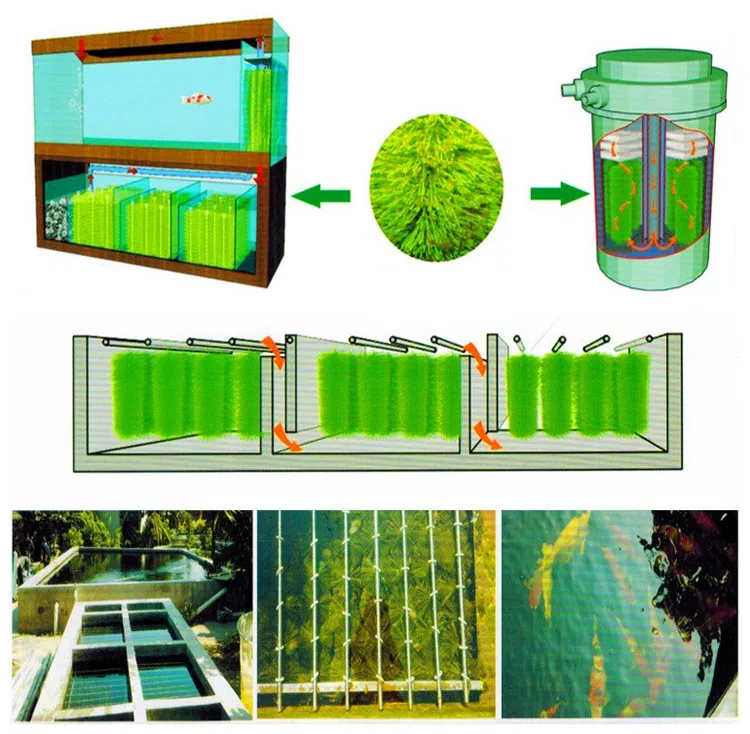 Koi система фильтрации для разведения рыб в пруду склад фильтрующий материал, биохимическая система фильтрации, кисть высокой плотности, фильтр-щетка. Биохимический фильтр