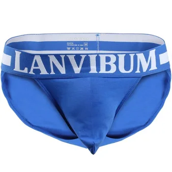 

Man Briefs Modal Underwear Cotton Brief Gay Brief Spandex Brief Panties Men Gay Brief Underpants Comfort Underpants