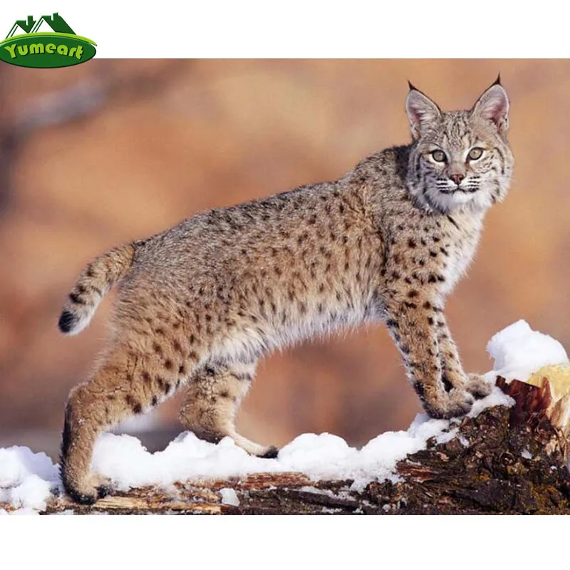 

YUMEART 5D DIY Square Diamond Drawing Cross Stitch Cat Animal Lynx Rhinestone Diamond Embroidery Mosaic Home Decoration Gift