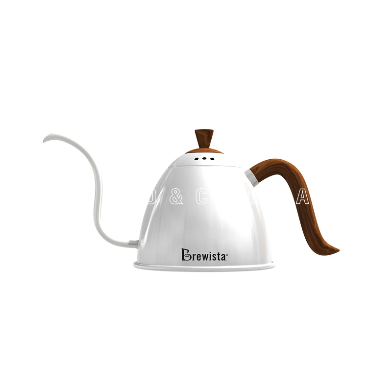 brewista kettle review