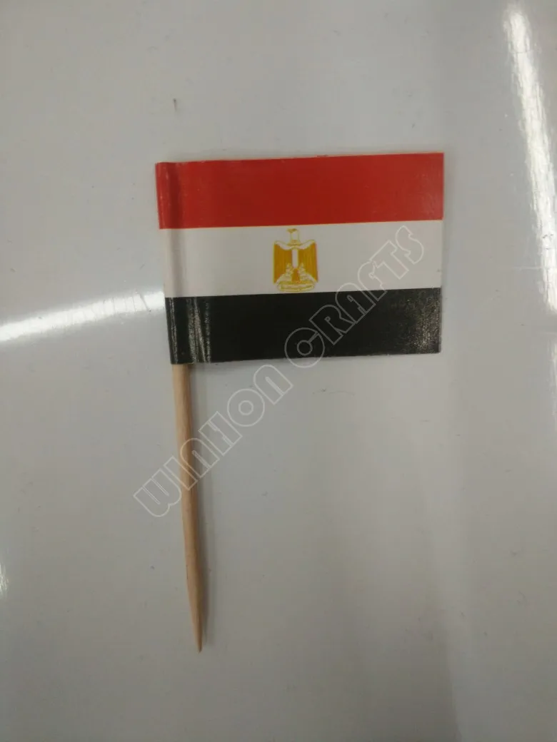 conew_egypt
