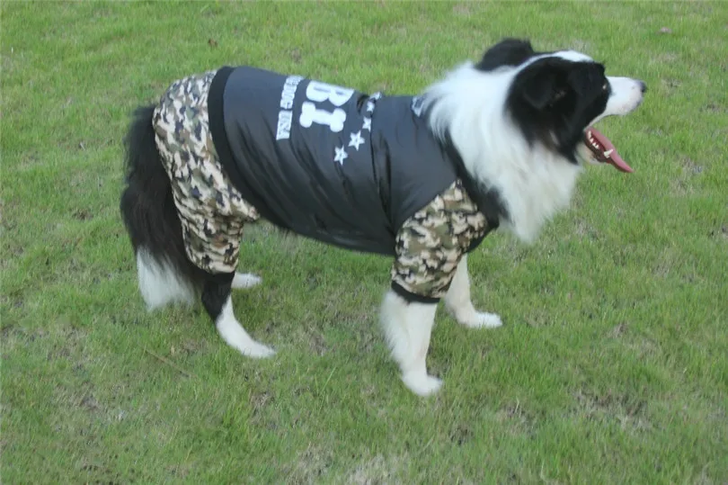 jacket dog winter (8)