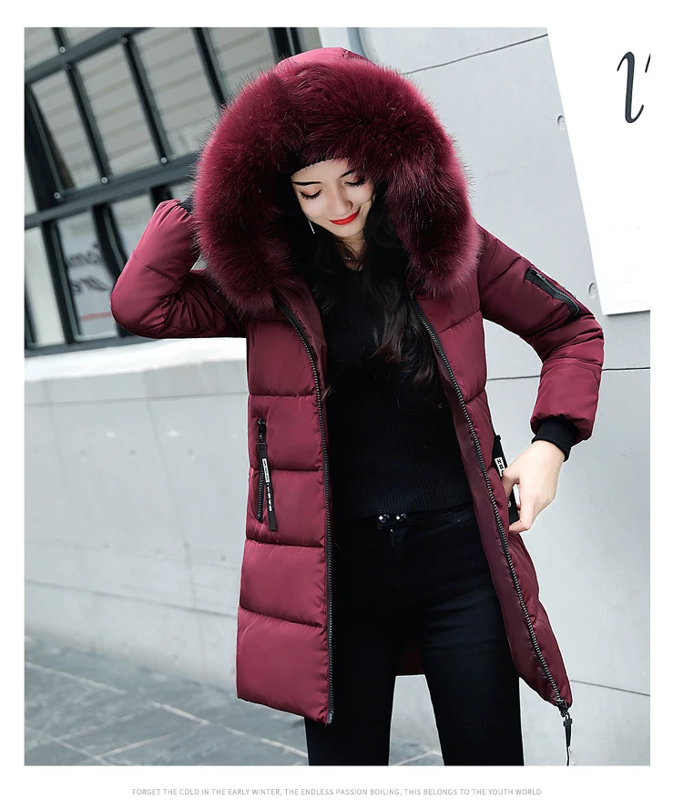 Women's Winter Jackets Winter Woman Coats 2019 Medium And Long Section Down Cotton Clothing Fashion Thickening Coat Female Parks (7)