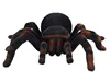 New Arrival Infrared RC Tarantula Realistic Spider with Lighting Remote Control Simulation Scary Toys Electronic Pets Gift 3