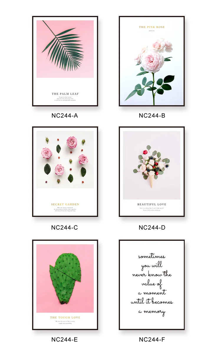 Modern Beautiful Plant Cactus Flowers Rose A4 Canvas Art Nordic Posters Wall Photo Home Decoration Painting | Дом и сад