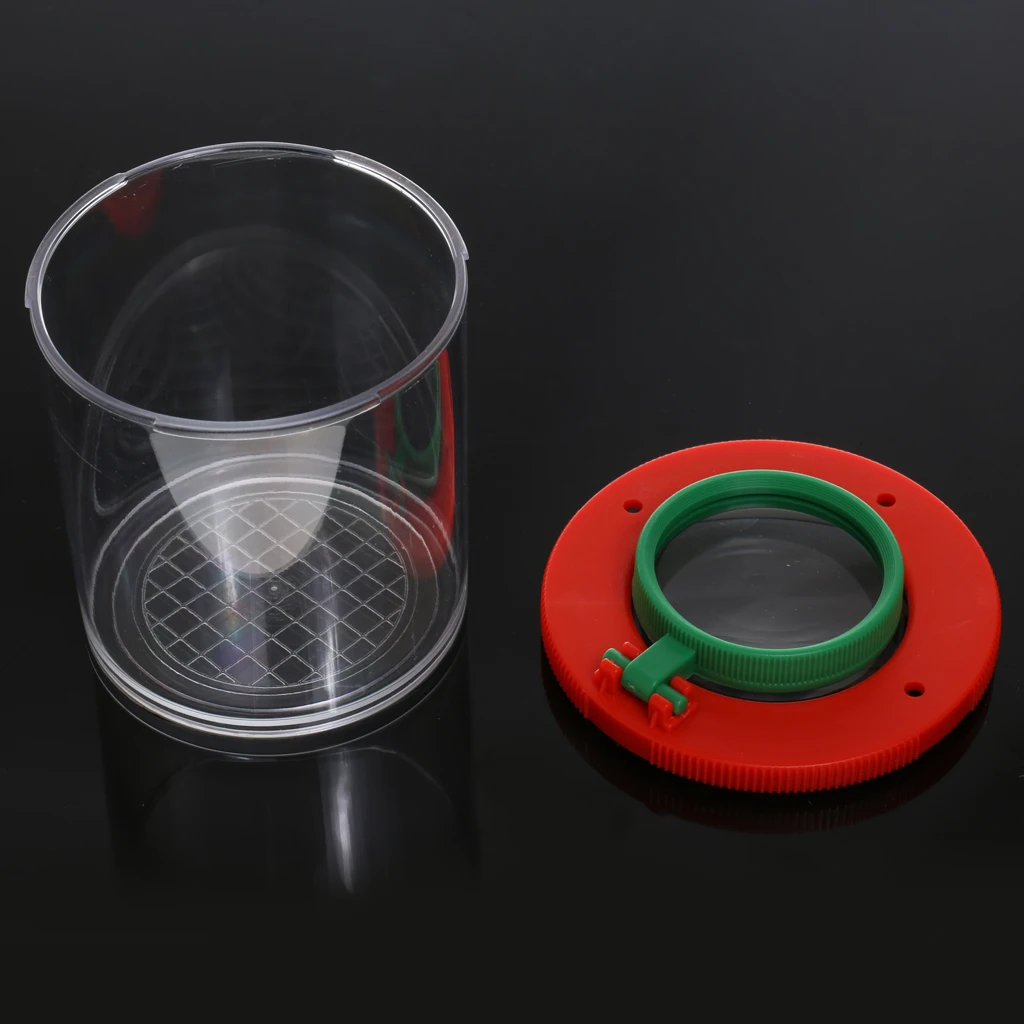 Bug Box Viewer Magnifier Insects Magnification Child's Toy Entomologists Outdoor Exploration Kids Early Educational Learning Toy