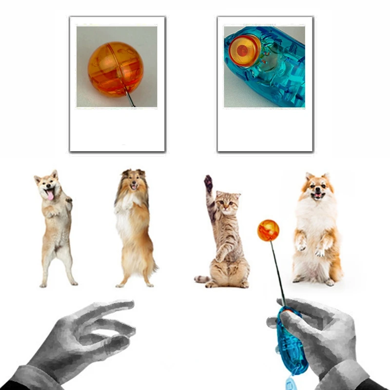 Novelty Stretchable Design Pet Training Clicker Dog Cat Agility Training Clickers Bird Whistle Commander Supplies Accessory