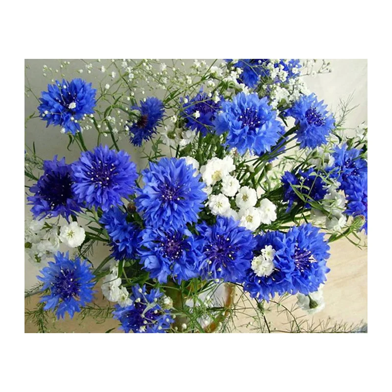 5d diy diamond mosaic diamond embroidery Christmas gfit diamond painting pictures home decor new year chrysanthemum 3