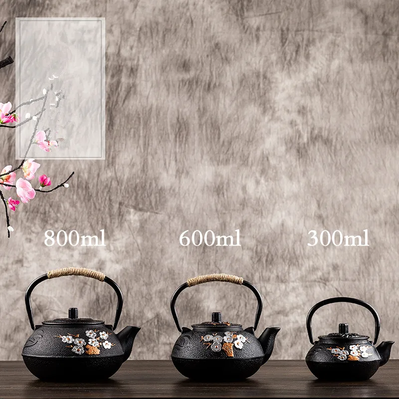 300 мл/600 мл/800 мл литой железный чайник комплект японский Чай чай горшок Tetsubin чайные принадлежности и рисунком «кунг-фу» инструменты сливы Чай чайник набор для чая