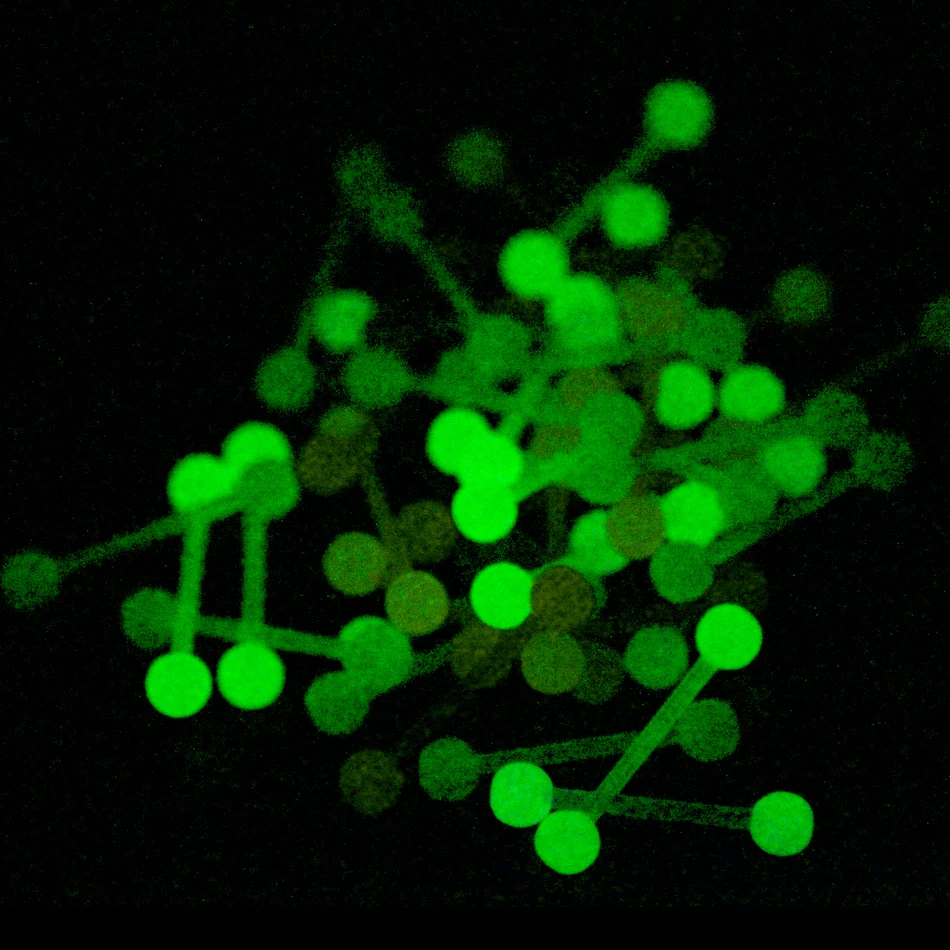 20 шт./лот, акриловая цветная биофлексибль, мягкая штанга для языка, кольца для пирсинга, светящиеся в темноте, штанга для сосков, Модные женские ювелирные изделия