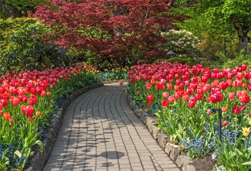 

Laeacco Garden Trees Flowers Scenic Photography Backgrounds Customized Photographic Backdrops For Photo Studio