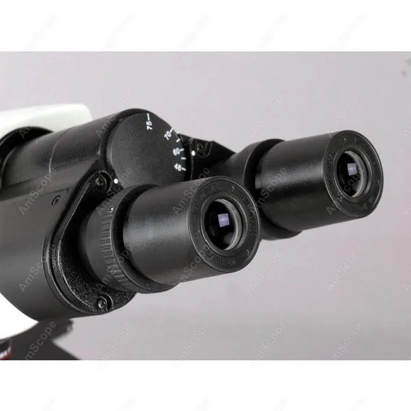 340-microscope-1_1