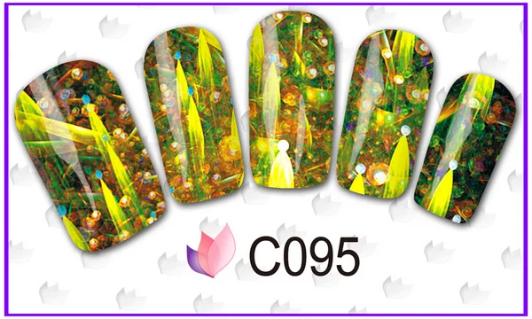 C095