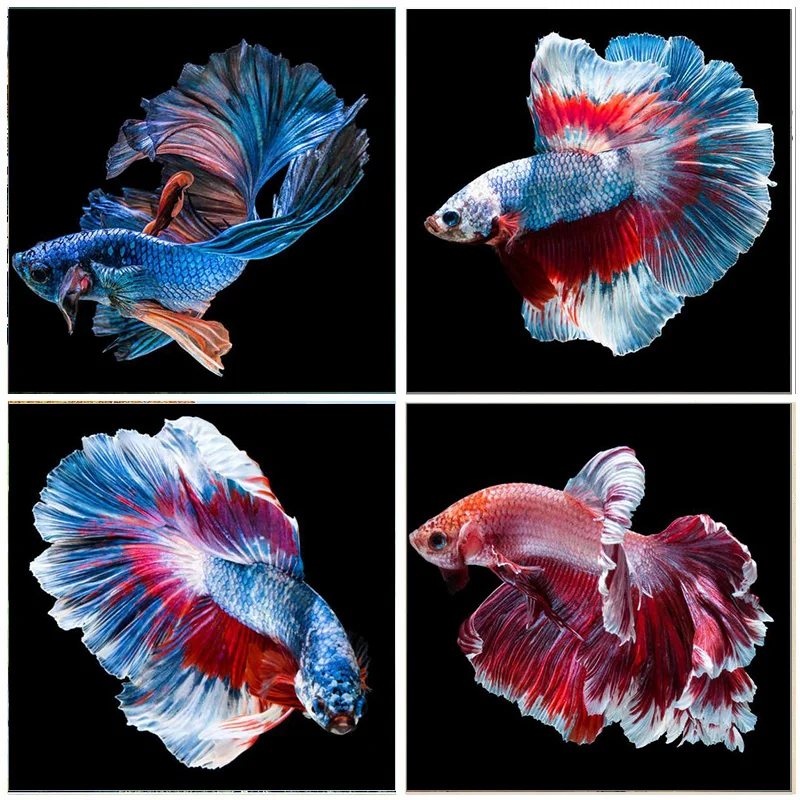 

5D DIY Diamond Painting Colorful Fish Round Drill Embroidery Animal Home Decoration Mosaic Crystal Cross Stitch Handmade Gifts