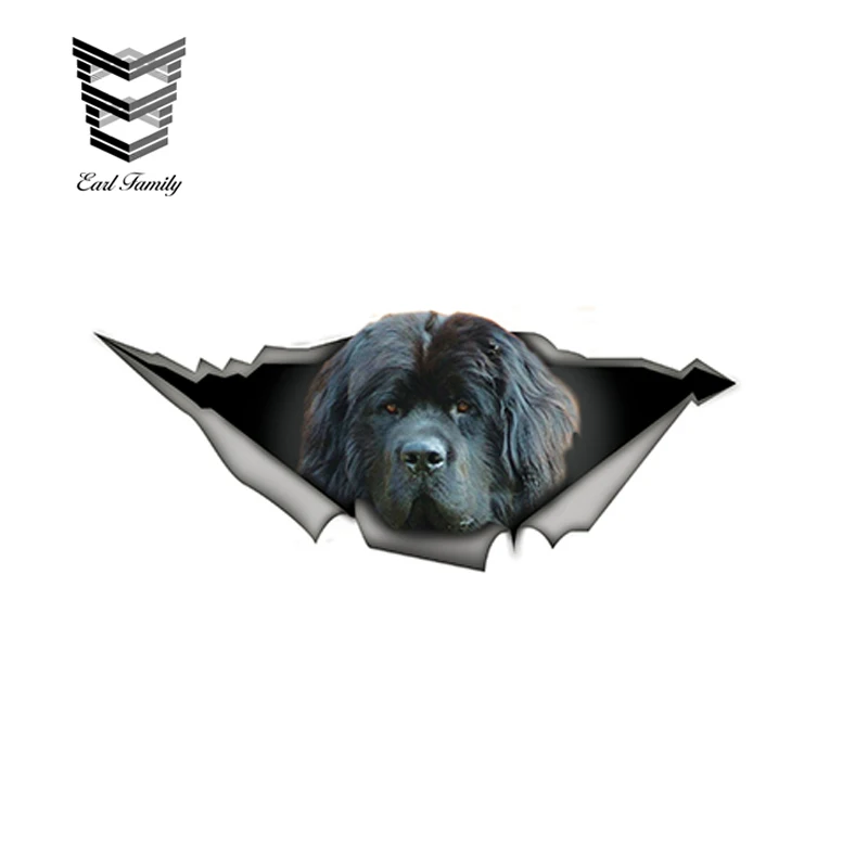 

EARLFAMILY 15cm x 6cm Funny Newfoundland 3D Car Sticker Dewfie Pet Dog Decal Waterproof Car Styling Car Stickers Decoration