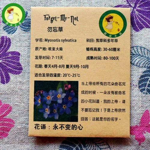 Free Shipping Blue Forget Me Not Forget Grass Seed Limonium Indoor Plants Flower Seeds Seed Flower Seeds Appleseeds Black Aliexpress