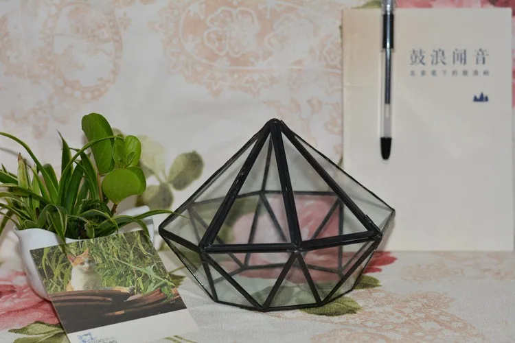 Diamond Geometric Polyhedron Glass Terrarium3