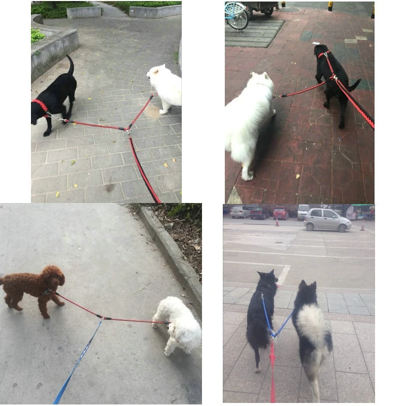 Solid-Nylon-Leashes-Leads-For-Two-Dogs-Double-Leashes (5)