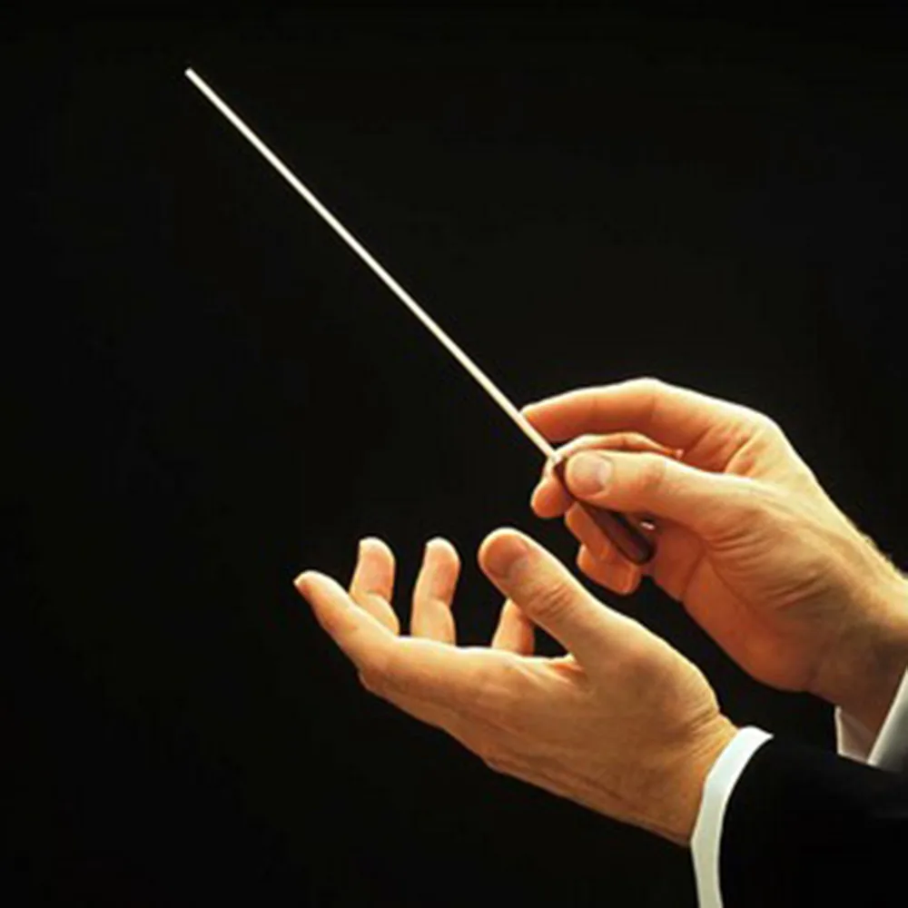 Music Concert Rhythm Band Director Conductor Baton 38.5cm Musical Instrument free shippingin