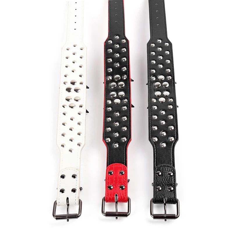 92002 dog collar (5)