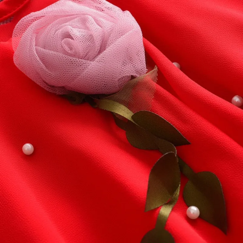 EN0547R (4)