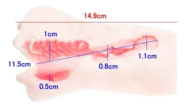 Male oral sex toys masturbation real teeth tongue deep throat Japan Magic eyes Paint lips Tight pussy blow jop sex toys for men 9