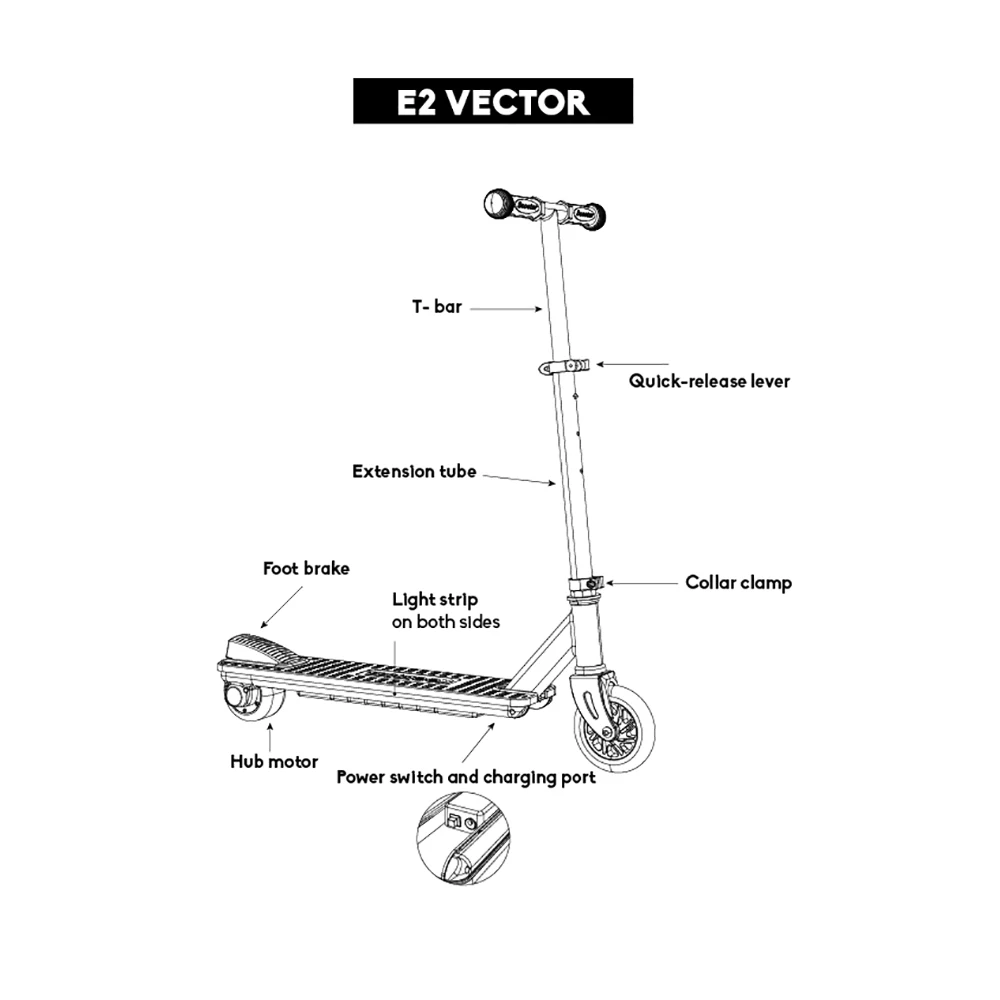 vector