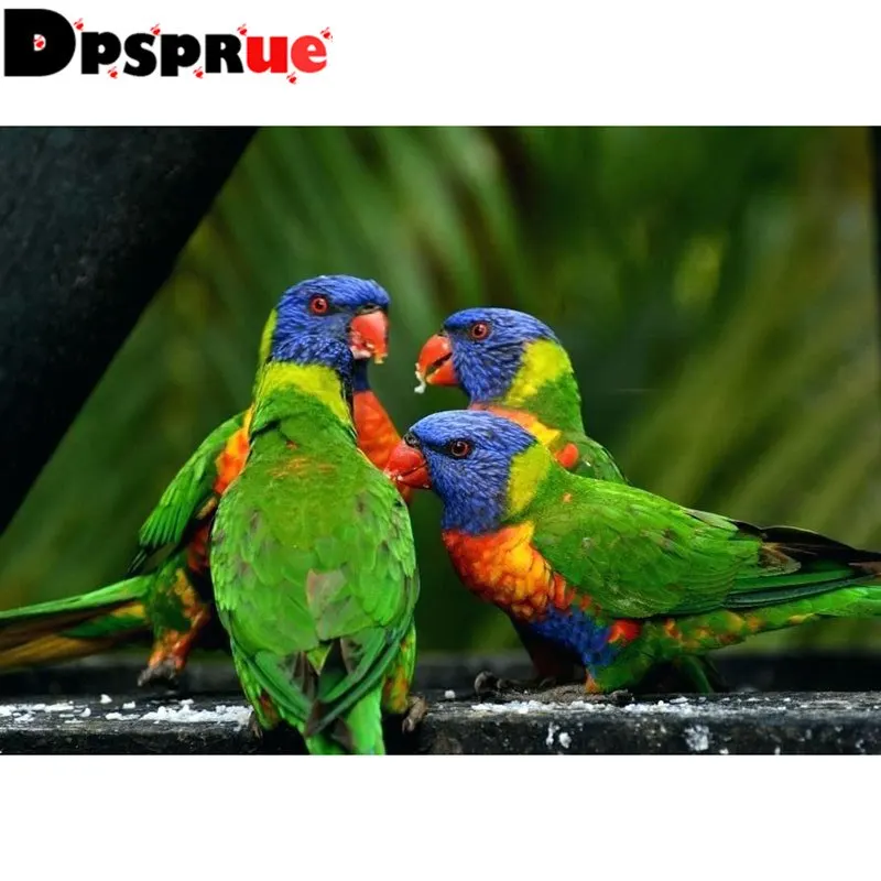 parrot-wallpaper-wallpaper-rainbow-parrot-wallpaper-download-parrots-birds-animals-wallpapers-7-parrot-wallpaper-hd-free-download