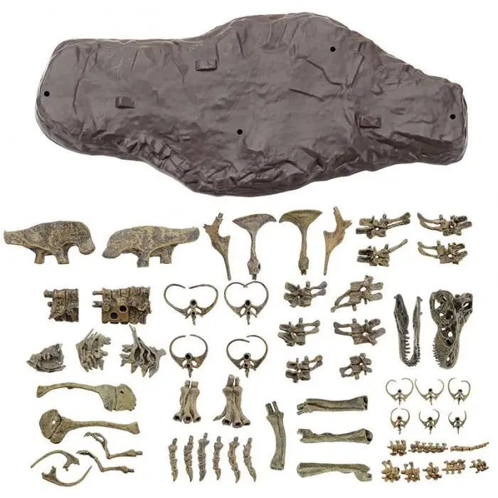 Большой динозавр ископаемое череп животных модель игрушки тираннозавр рекс собрать Скелет предметы мебели украшения комплект NSV775