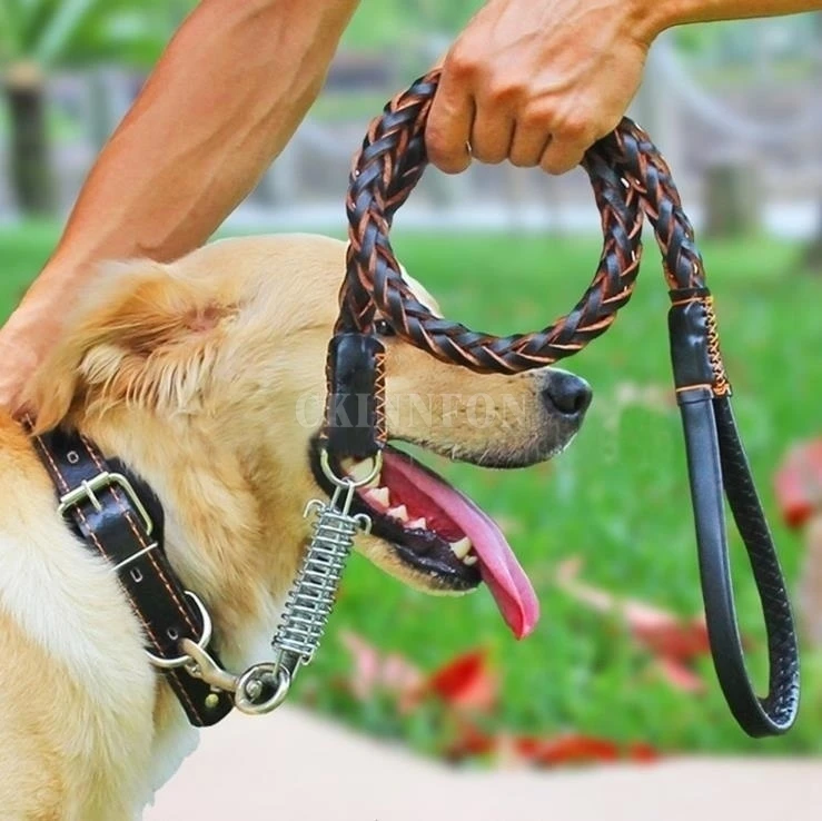送料無料特別価格 100ピース ロット革大型犬リーシュファッションビッグ犬リードスーツチェーン調整可能な牽引ロープ襟 クリアランス割引 Esale Co