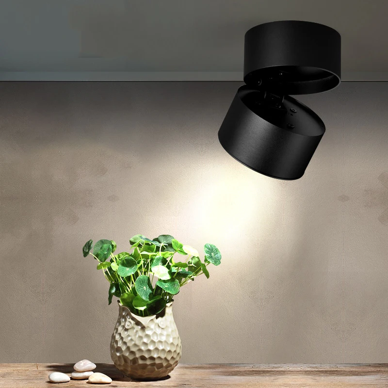 LED Ceiling downlights  (6)
