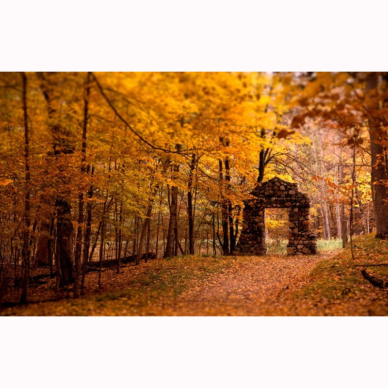 5D DIY Diamond Painting Autumn Scenic Embroidery Full Square Diamond Needlework Cross Stitch square Diamond Painting Decor