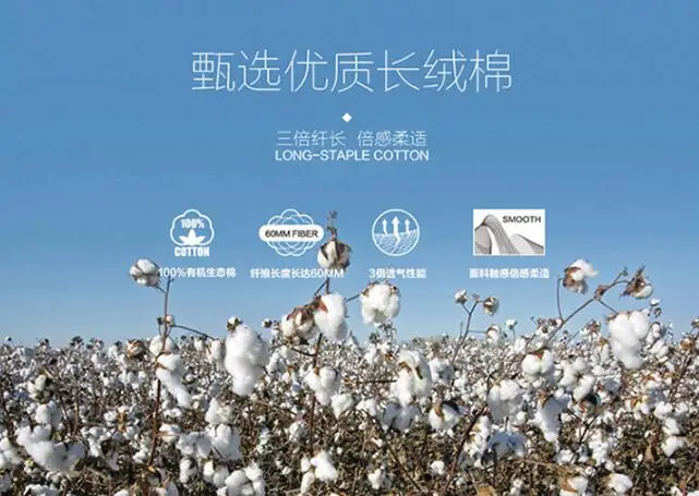 QQ20190417122259