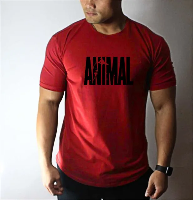 Buy Brand t shirt mens cotton muscle fitness men