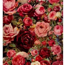 Горячая красивые розовые красные цветы напечатаны DIY Цифровая живопись маслом по номерам ручная роспись маслом 40x50 см без рамки