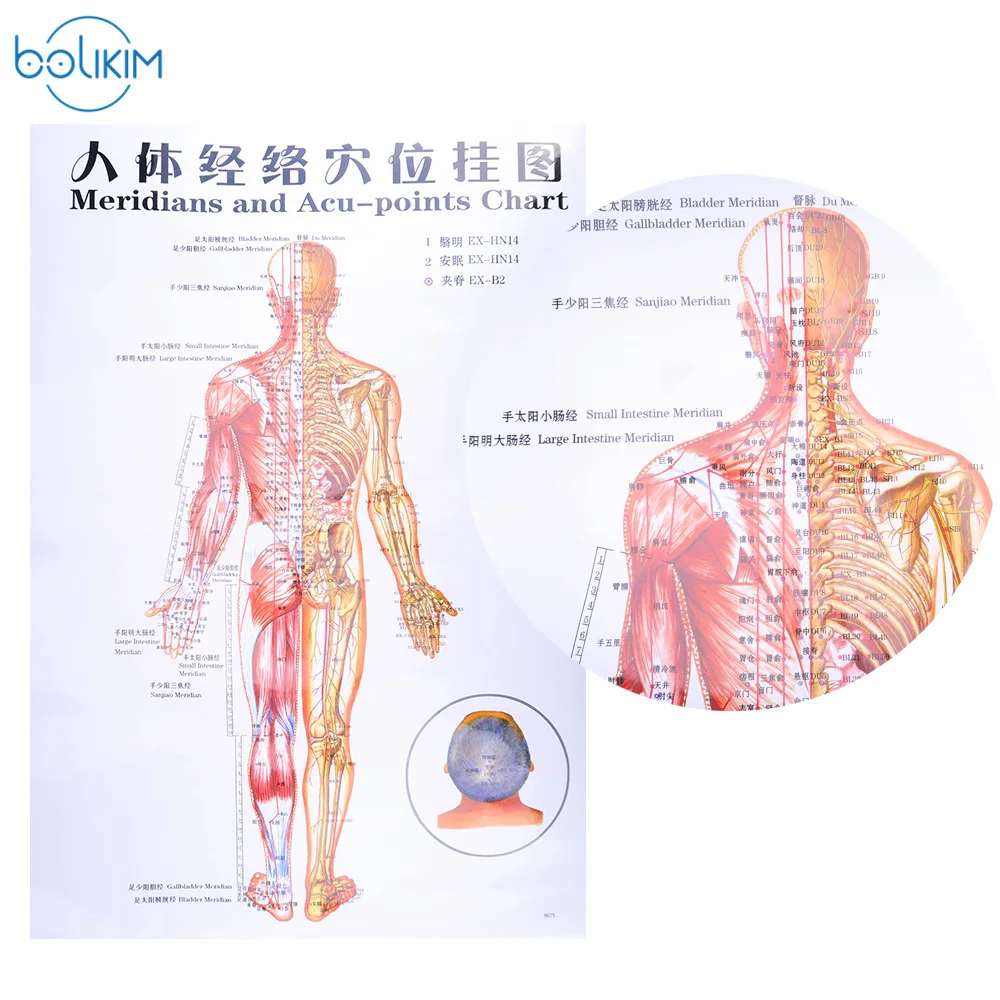 BOLIKIM 6Pcs English Hand&Foot&Ear&body Meridian points of human wall chart female /male acupuncture massage point map flipchart