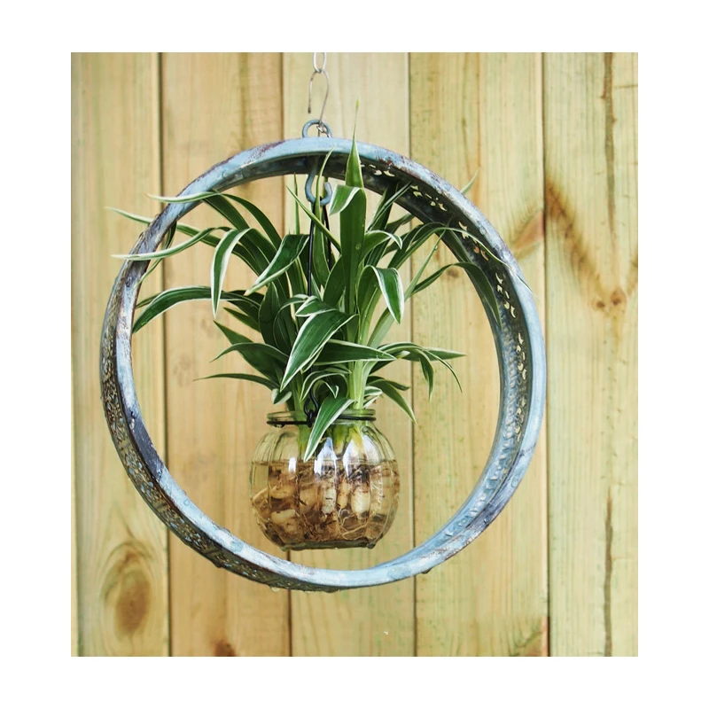 

Creative Vintage Gardening Iron Flower Hanging Water Cultured Flower Model Storage Shelf Ornament Home Decor Accessories Gifts