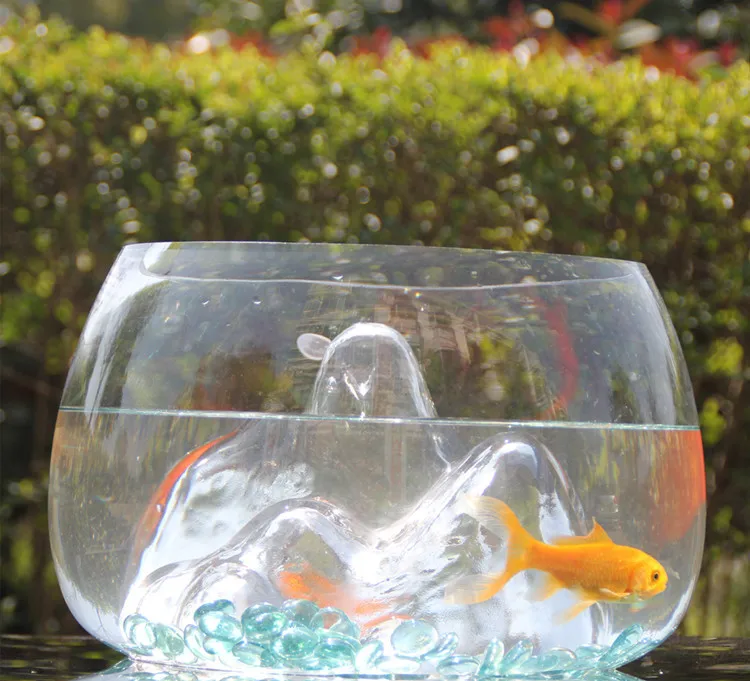 1309049802_1666969208