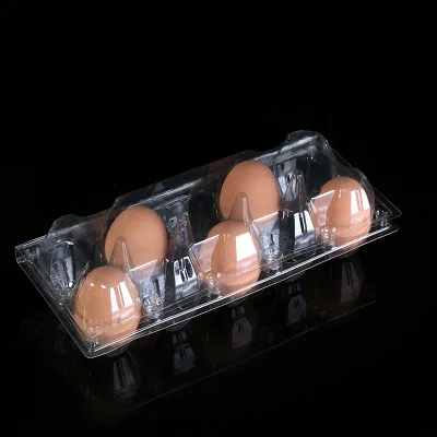 

10 Holes PVC Eggs Container Plastic Clear Egg Packing Storage Boxes Wholesale 240x102x65mm Free Shipping