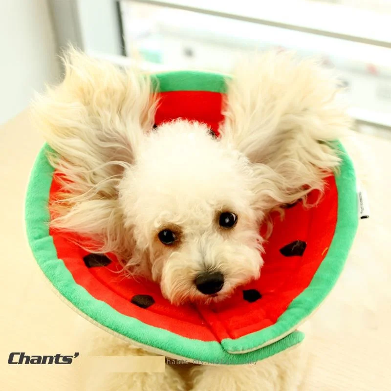 

NEW Pet Elizabeth Circle Dogs Protective Neck Collar Cat Wound Healing Medical Anti Bite Puppy Recovery Scratching