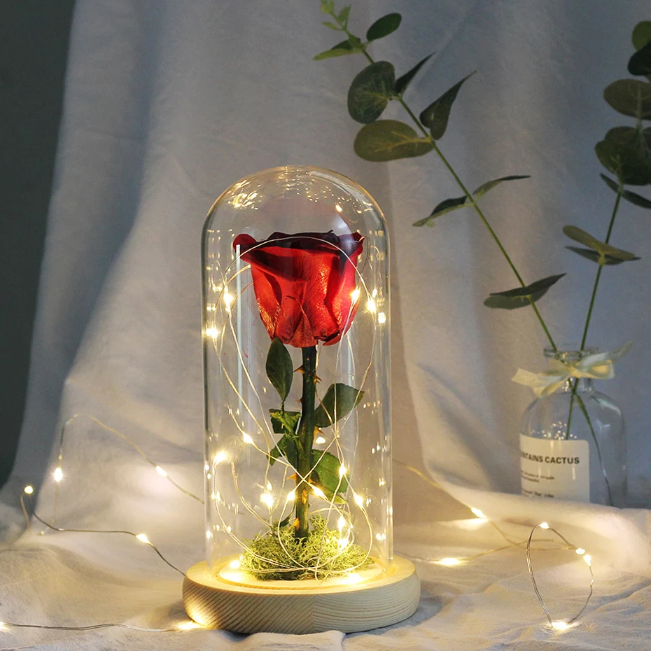 

The Beauty And The Beast Led String Light Flower Decoration Eternal Rose In Flask Glass Dome Valentines Day Gift Birthday Gift